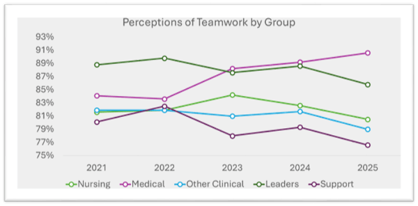 Graph Displaying Perceptions of Teamwork by Group